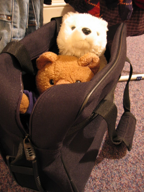 Bears smuggling into my luggage