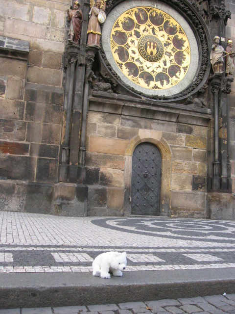 Louie waits by the Tower Clock in Stare Meisto